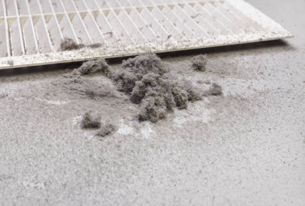 Best Local Air Duct Cleaning Services  in Belle Plaine, IA
