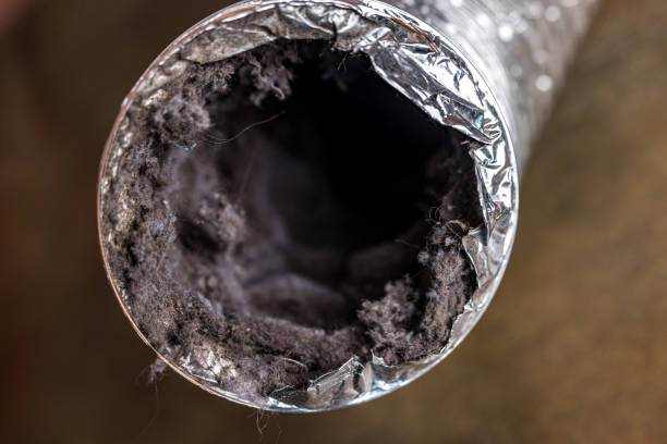 Best Affordable Air Duct Cleaning  in Belle Plaine, IA